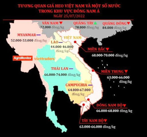 So sánh giá thịt heo trong nước và khu vực (Nguồn: AgroMonitor và Viettraders)